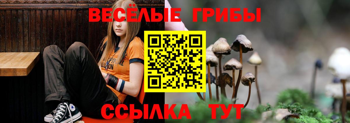 Галлюциногенные грибы мухоморы Камышлов